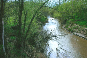 Whites Creek Crossing West Under Melrose Road